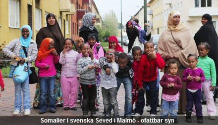 Image result for IMMIGRANTS IN SWEDEN